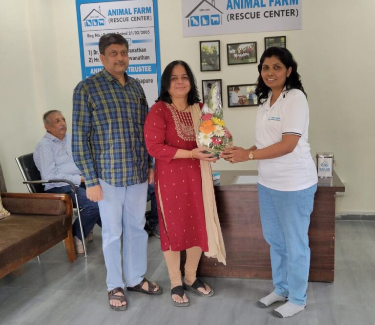 Rescue Cente e1751447850734